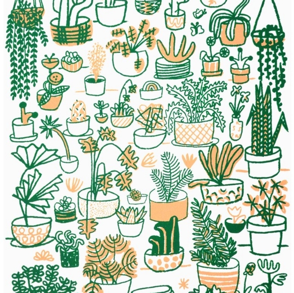 Meet your Posher, Rachael - Picture 1 of 1